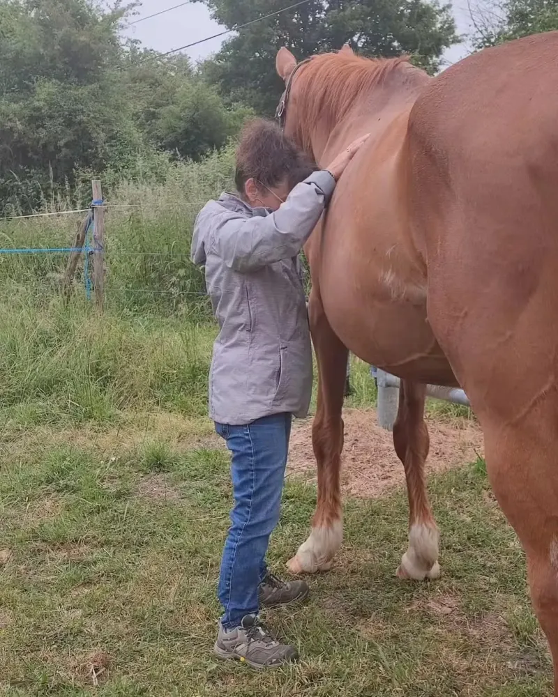 kineisologie equine (3)