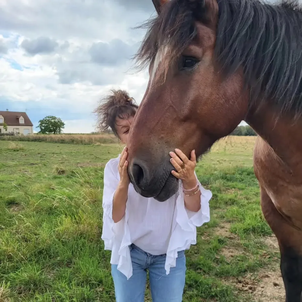 kinesiologie equine (3)