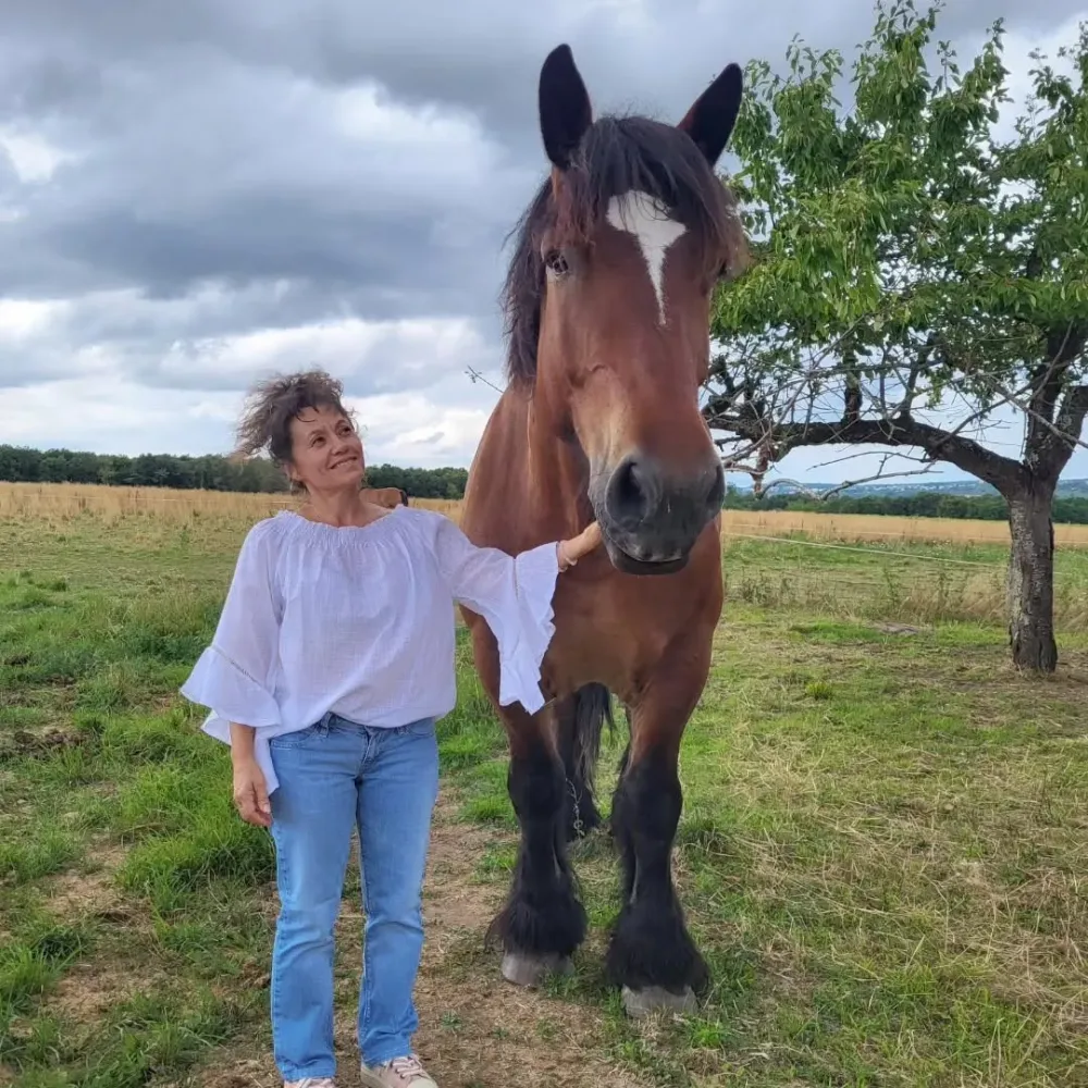 kinesiologie equine (1)