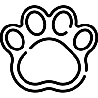 pictogramme patte